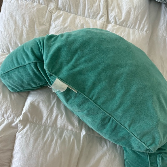 Teal Pillow with pocket - Picture 4 of 7